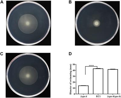 Putrescine Is an Intraspecies and Interkingdom Cell-Cell Communication Signal Modulating the Virulence of Dickeya zeae